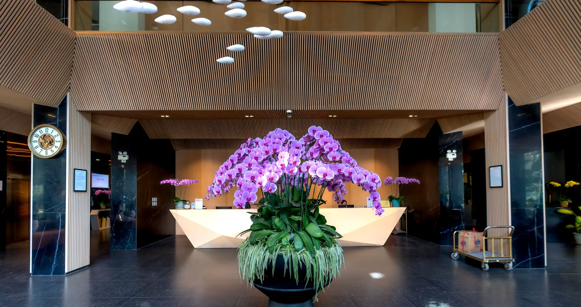 Modern hotel reception area with professional staff